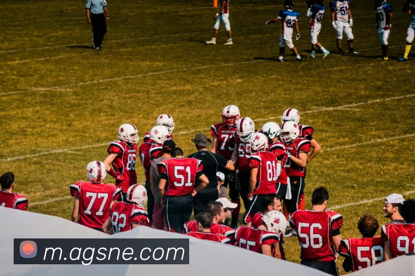 ag百家乐平台生态图